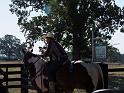 032-Man on Paint Horse